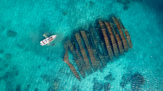 What are the Basics of Fucoidan?