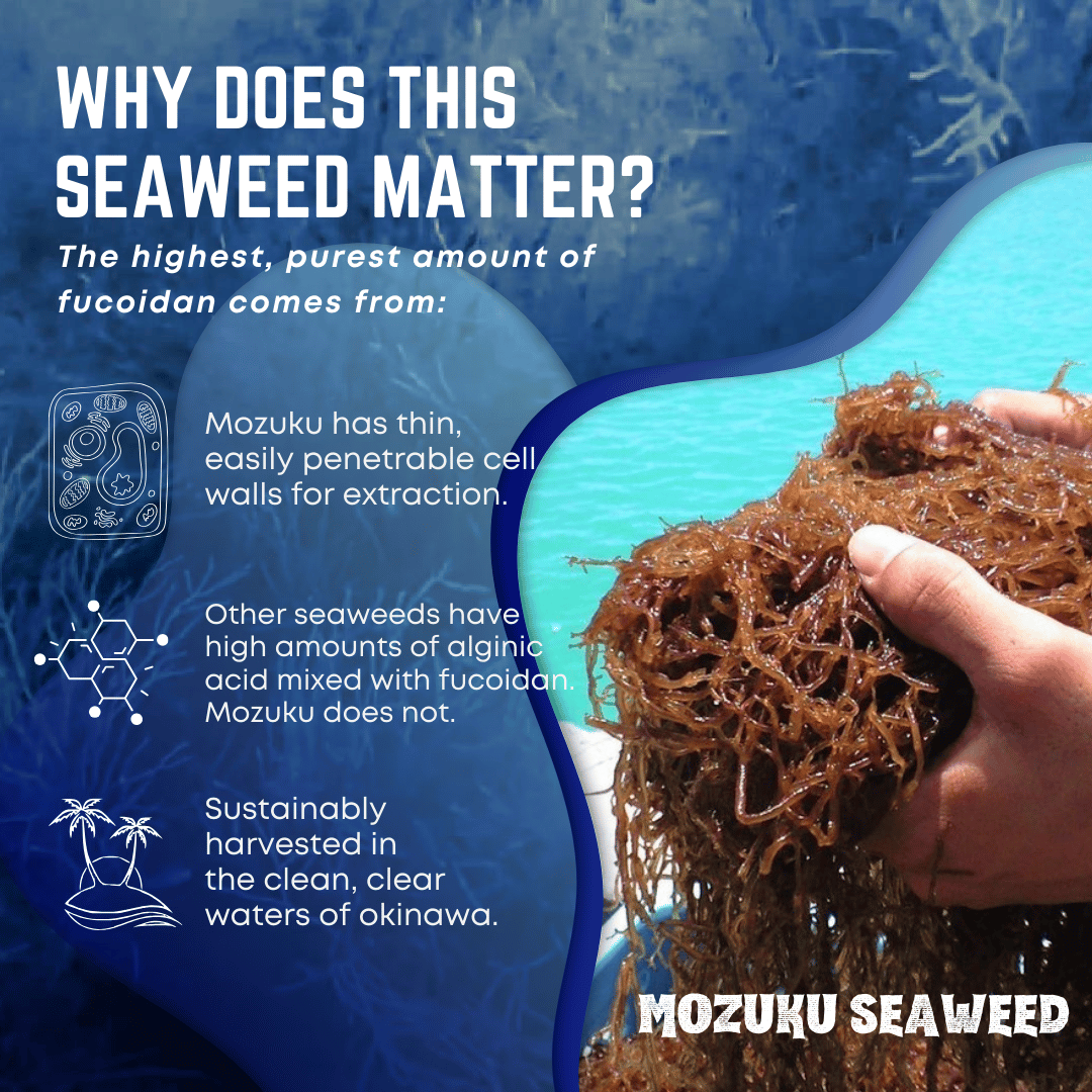 Haitai True Fucoidan - Lab-Tested >85% Pure Mozuku Seaweed Extract, 150 Veggie Capsules, 200mg Each, Made in Okinawa, Japan - 30 Day Supply