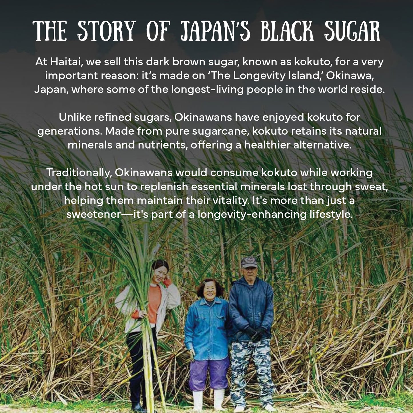 Haitai's 'Longevity Island' Sugar ~ Blue Zone Food, Japan's 'Black Sugar', Deep, Dark, Powerful Taste ~ 500g ROCK Type