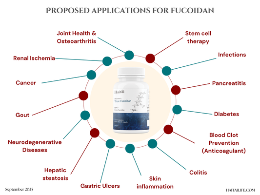 Infographic - proposed applications for fucoidan supplements