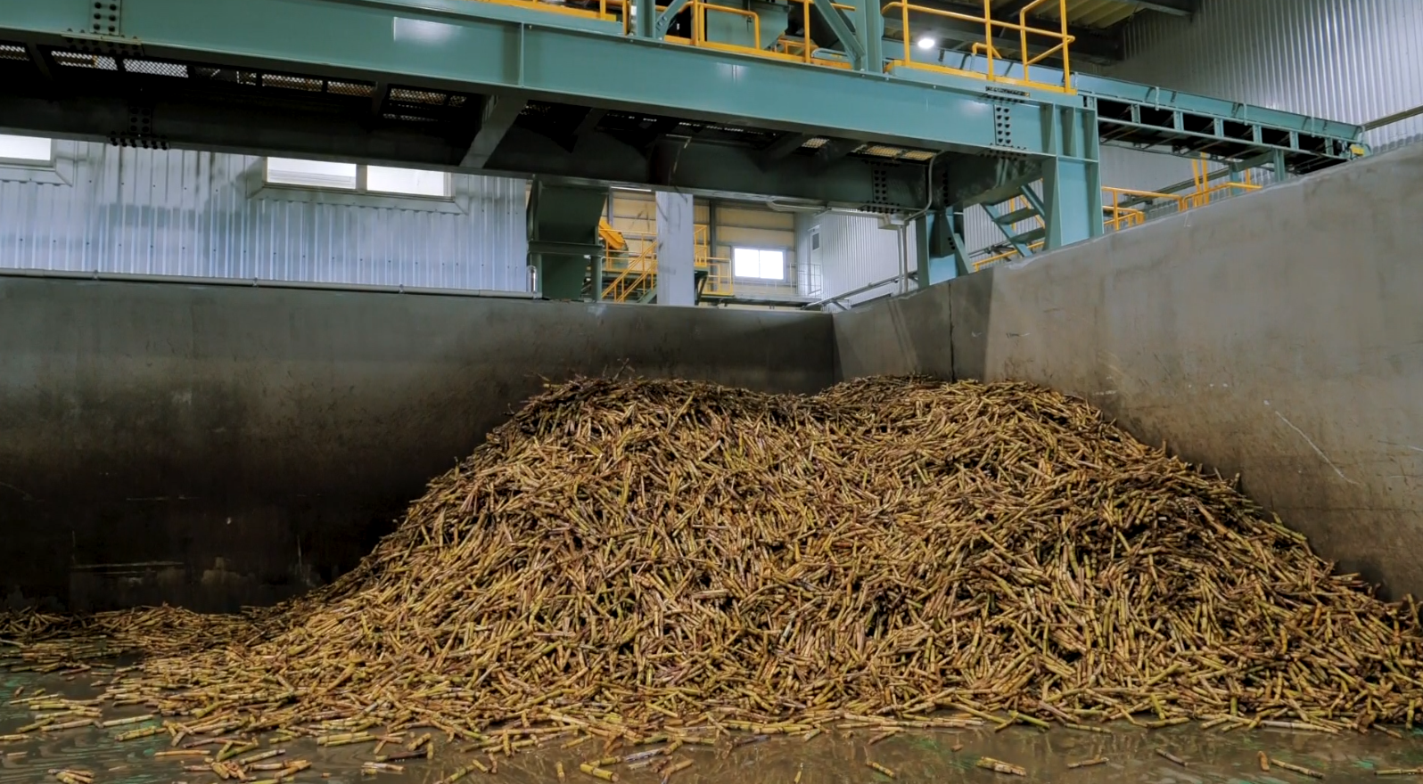 Haitai's 'Longevity Island' Sugar ~ Blue Zone Food, Japan's 'Black Sugar', Deep, Dark, Powerful Taste ~ 500g ROCK Type